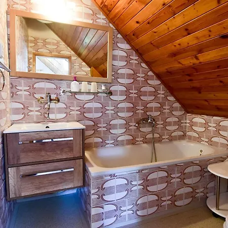 Guest house Pension Dymnik 3*